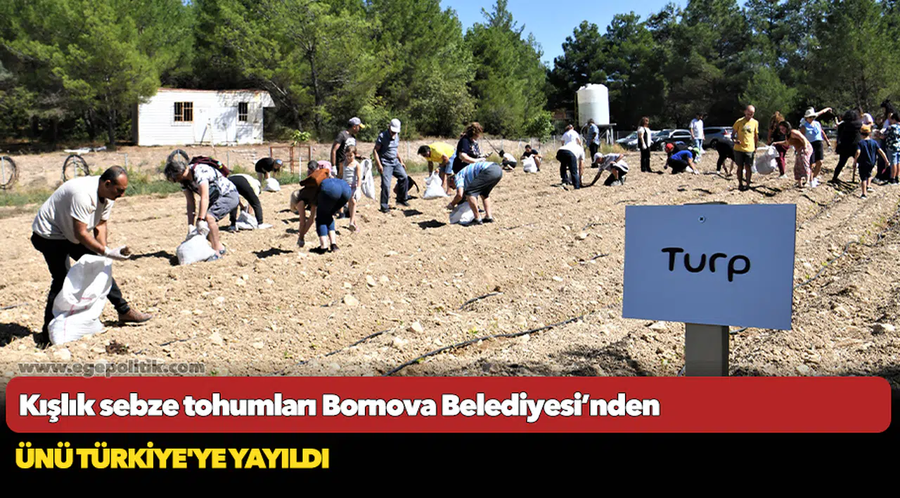 Kışlık sebze tohumları Bornova Belediyesi’nden