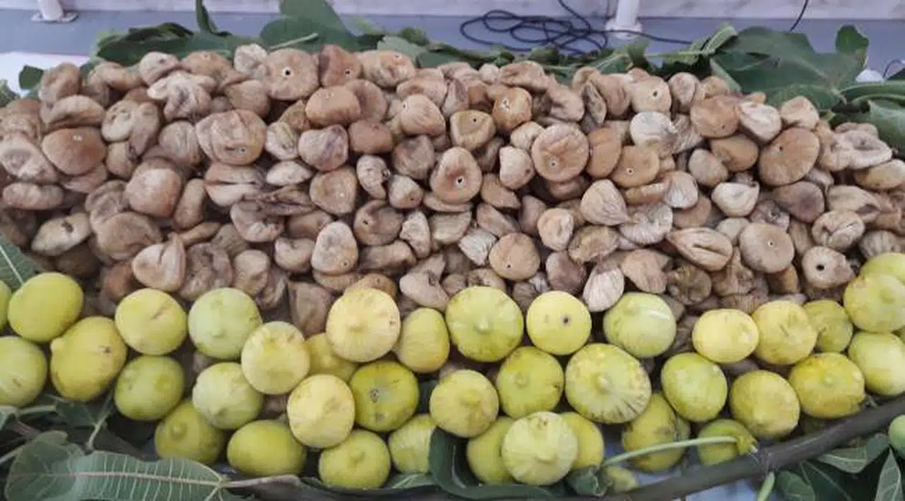Üretici ile market arasındaki fiyat farkı en yüksek olan ürün belli oldu