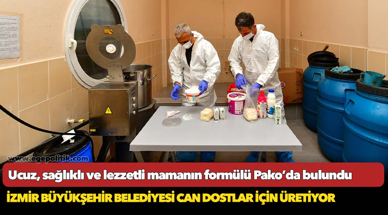 Ucuz, sağlıklı ve lezzetli mamanın formülü Pako’da bulundu