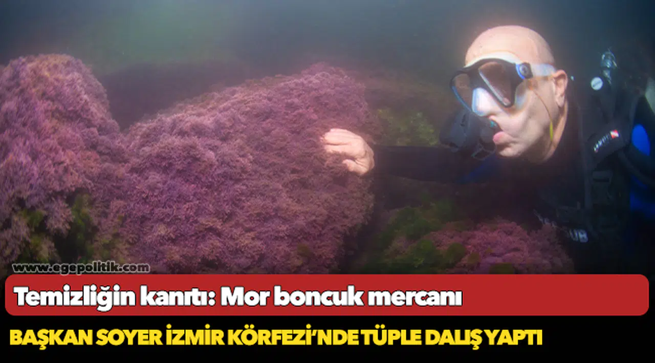 Başkan Soyer İzmir Körfezi’nde tüple dalış yaptı