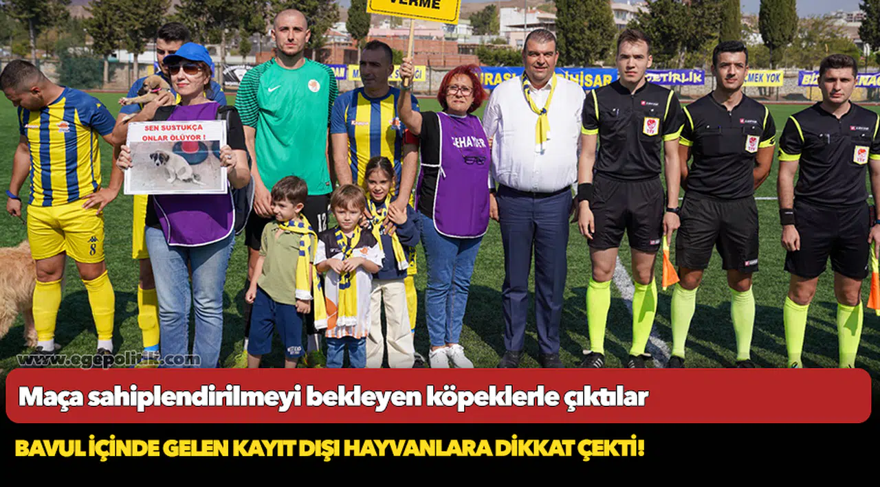 Maça sahiplendirilmeyi bekleyen köpeklerle çıktılar