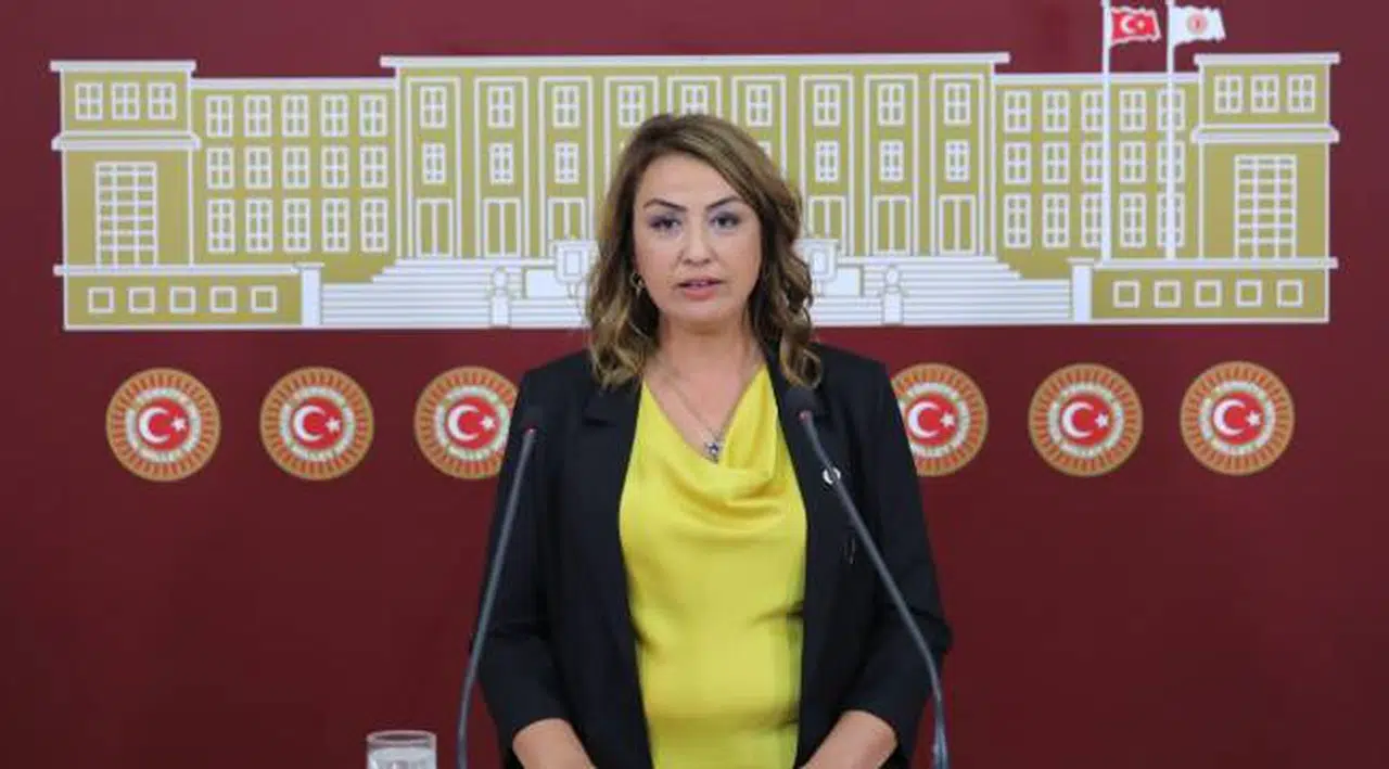 Nermin Yıldırım Kara, Elektrik Kesintileri Depremzedeleri Canından Bezdirdi