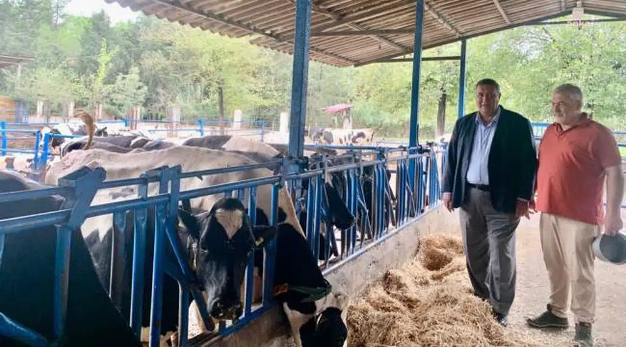 Niğdeli besici Kenan Pamukçu: “Paramızı faize yatırsak daha çok kazanırız”