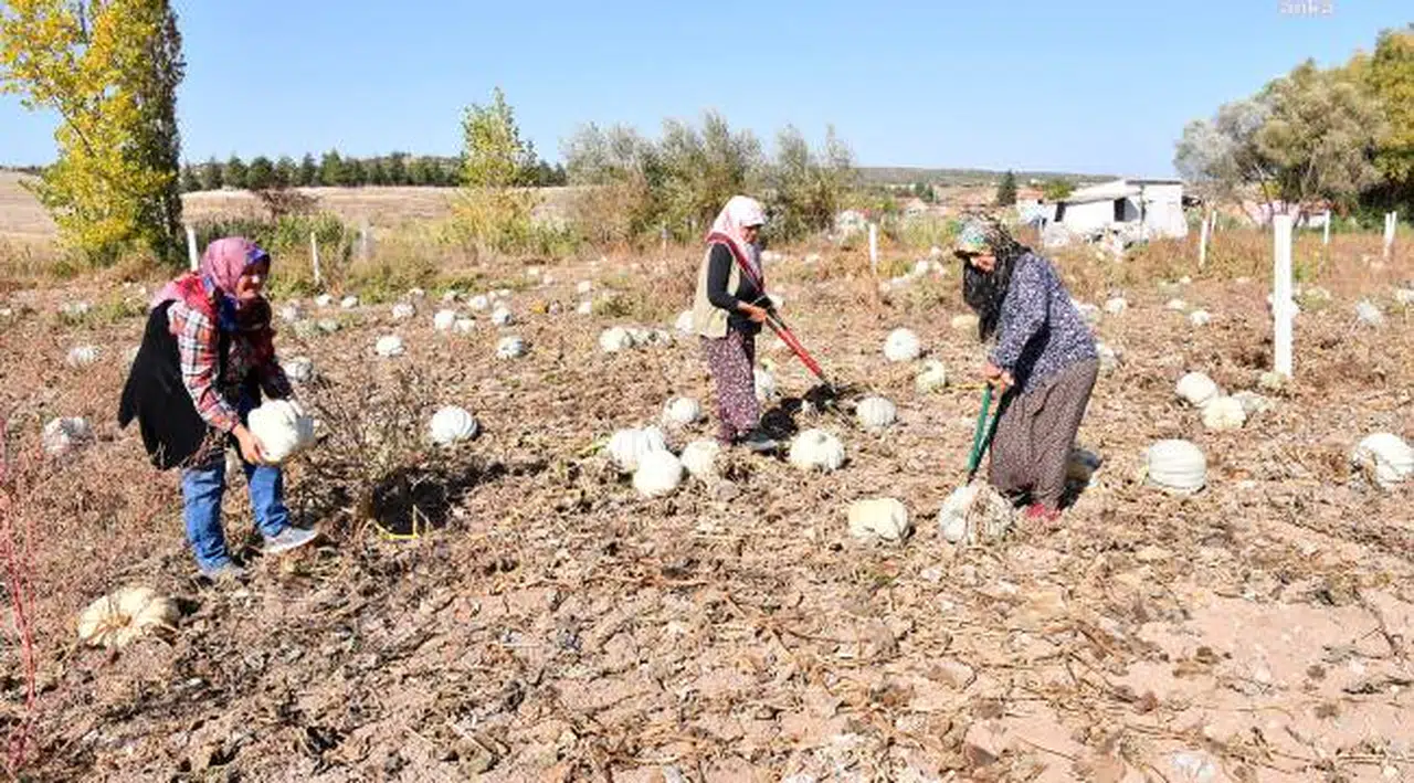 Tepebaşılı Kadınlar Ürünlerini Tanıtmanın Gururunu Yaşıyorlar