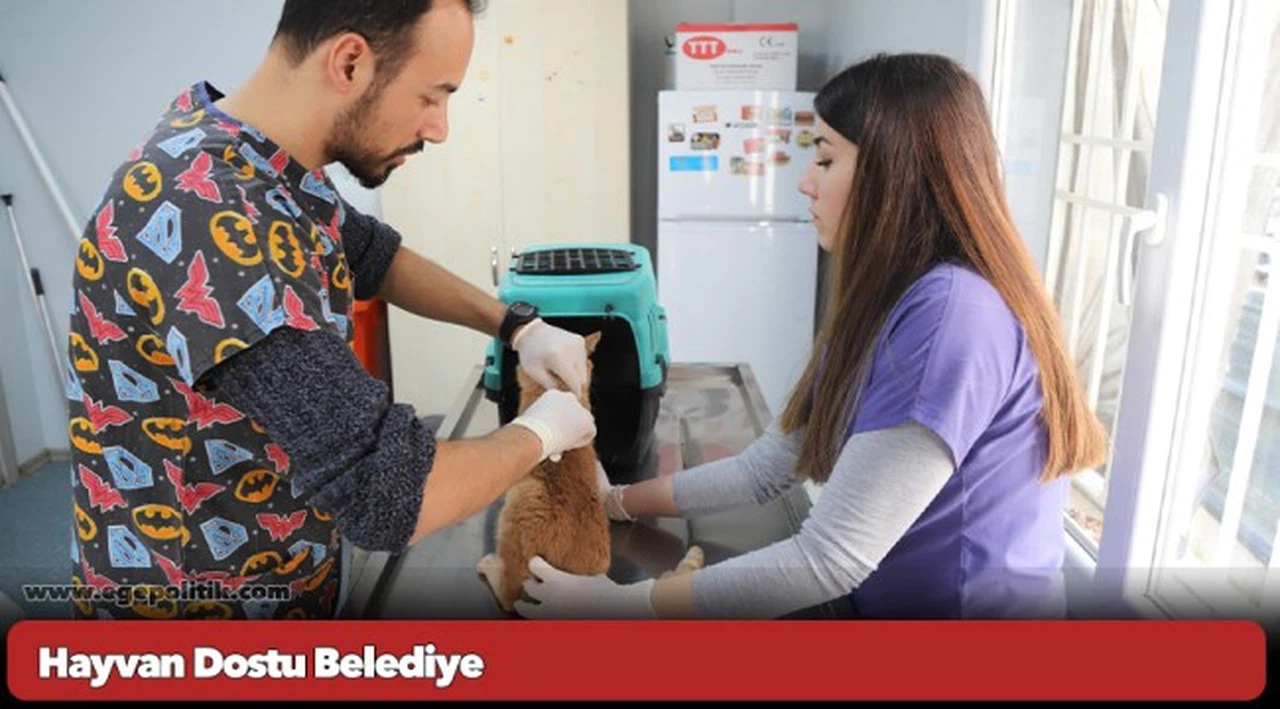 Hayvan Dostu Belediye