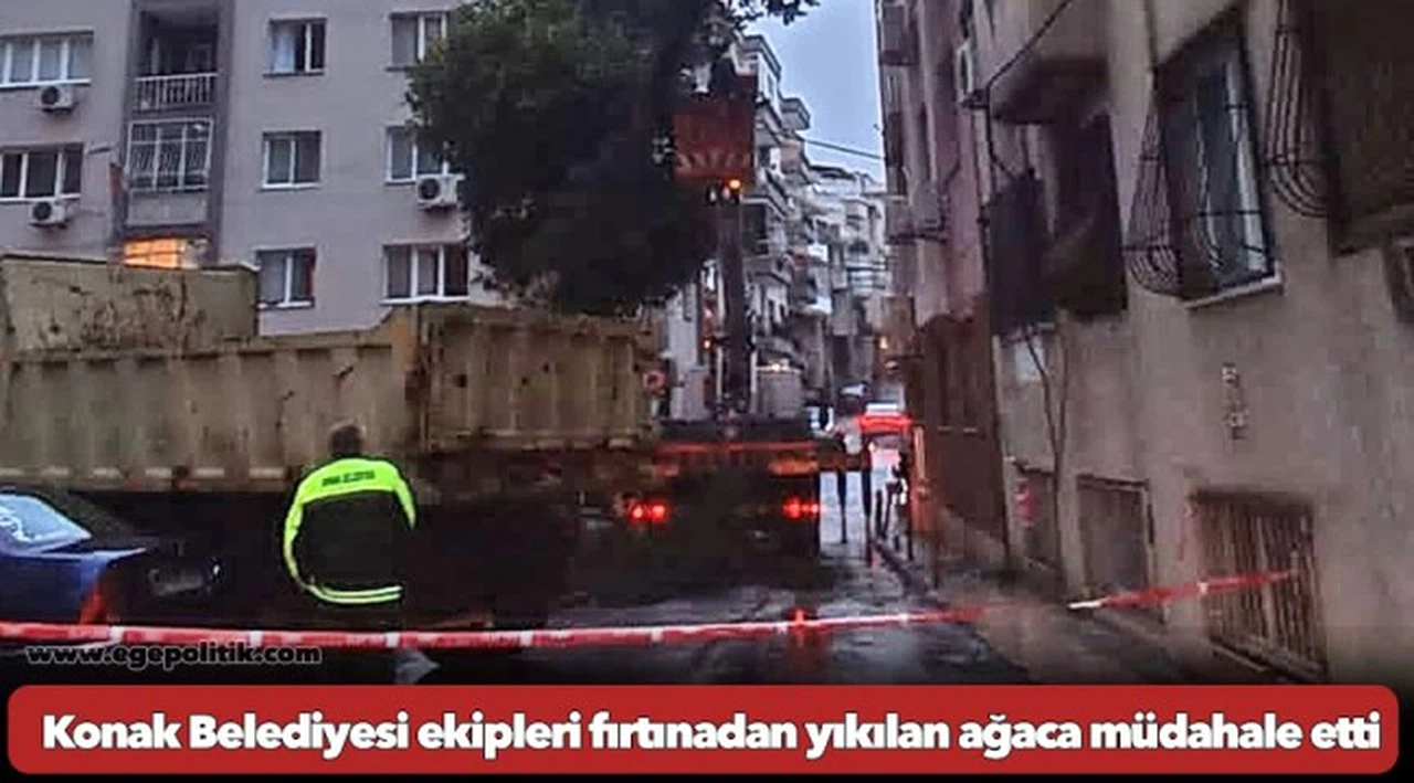 Konak Belediyesi ekipleri fırtınadan yıkılan ağaca müdahale etti