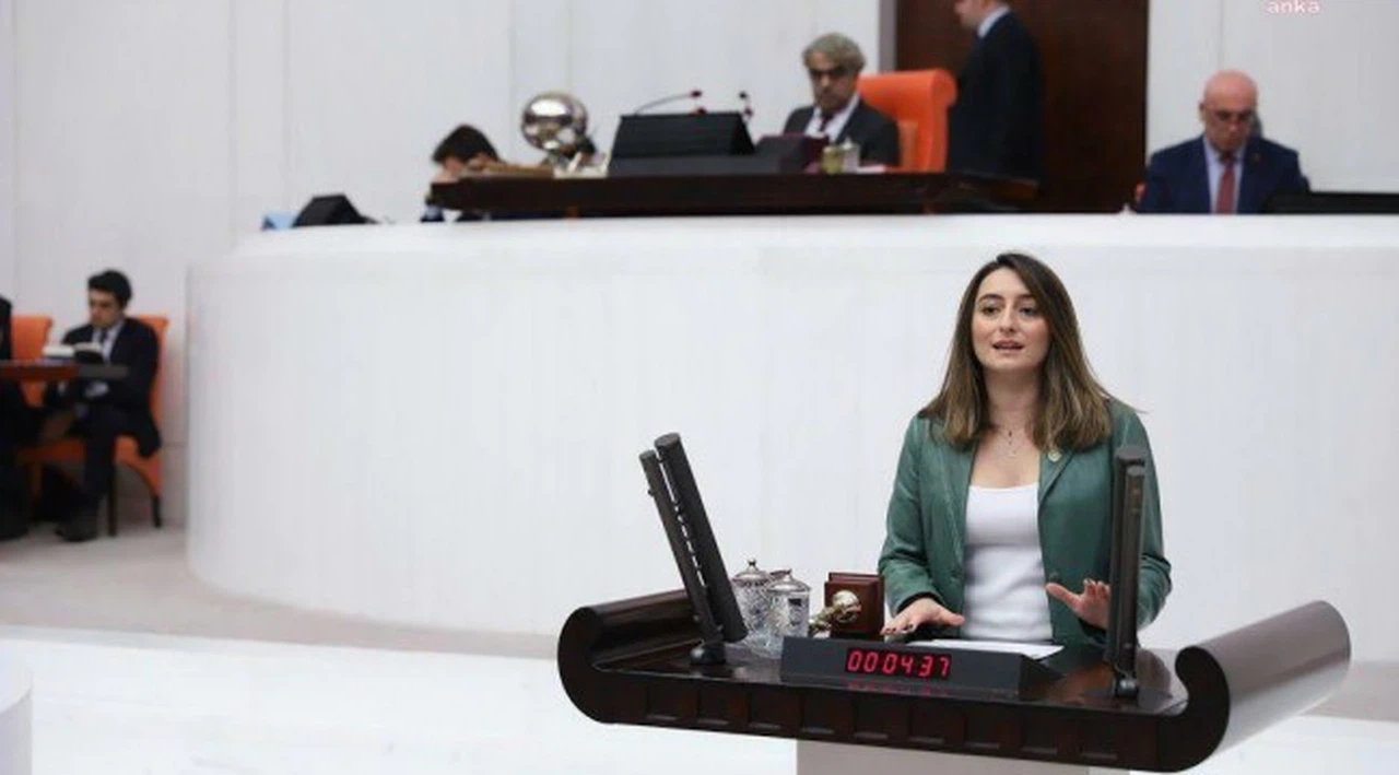 Aysu Bankoğlu: “Engelli vatandaşlarımızın aylıkları acilen insan onuruna yakışır bir seviyeye yükseltilmeli ve bu ayıba son verilmelidir”