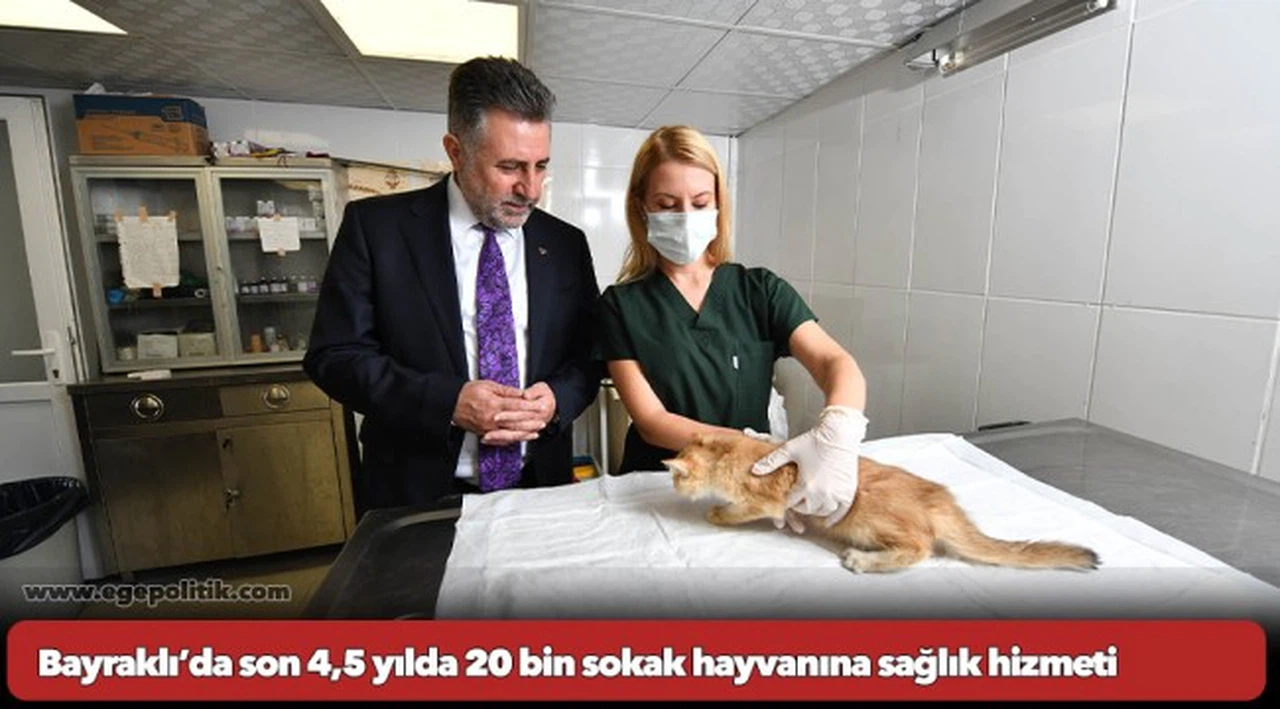 Bayraklı’da son 4,5 yılda 20 bin sokak hayvanına sağlık hizmeti