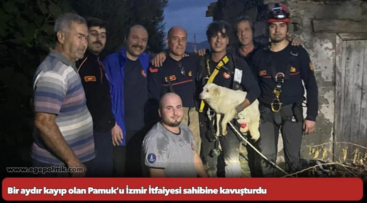 Bir aydır kayıp olan Pamuk’u İzmir İtfaiyesi sahibine kavuşturdu