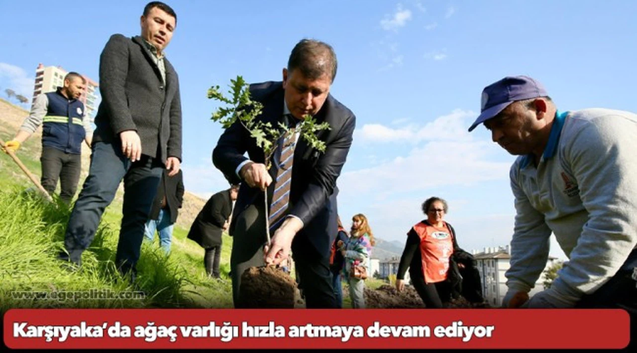 Karşıyaka’da ağaç varlığı hızla artmaya devam ediyor