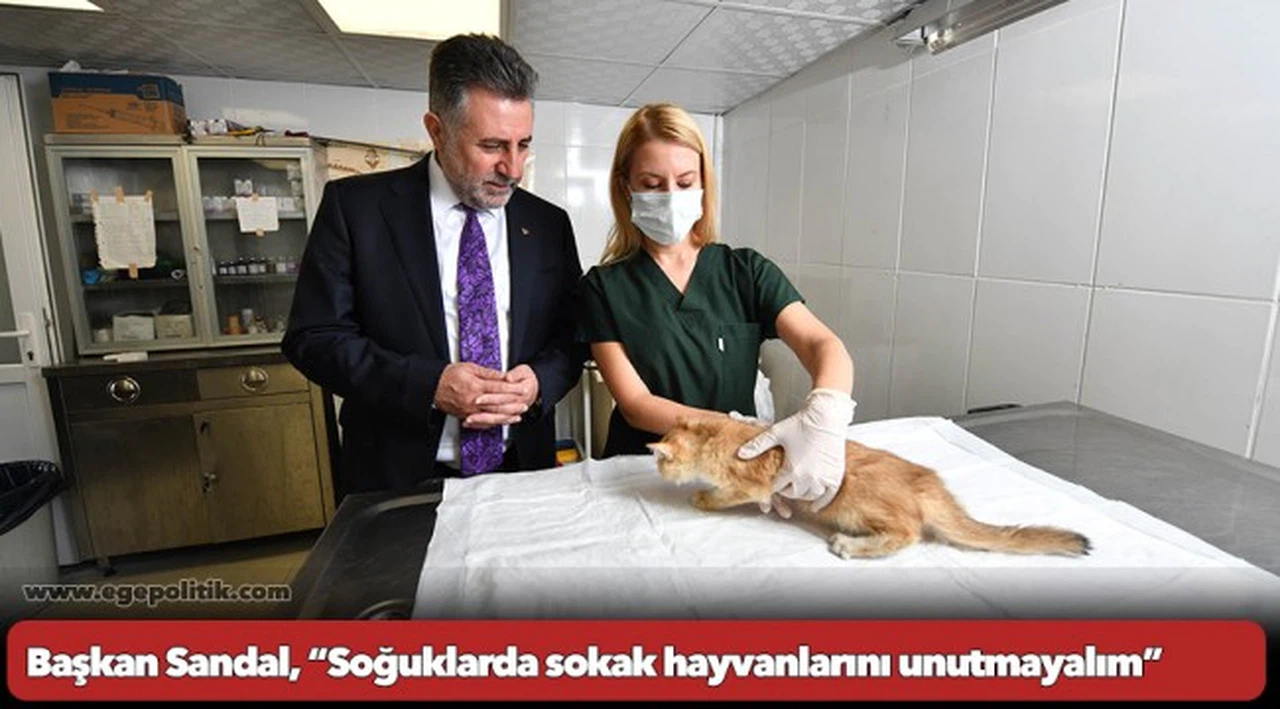 Can dostlara sıcak yuva ve mama desteği