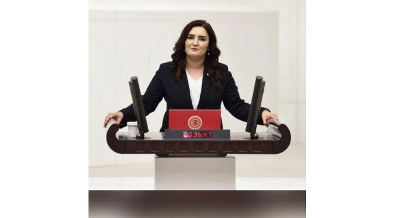 CHP'li Kılıç, "Kadın cinayetlerinin en çok işlendiği ikinci il İzmir"