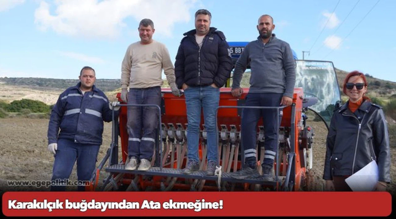 Karakılçık buğdayından Ata ekmeğine!