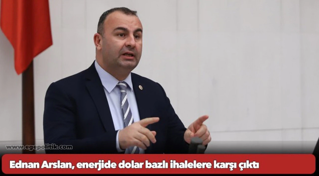 Ednan Arslan, enerjide dolar bazlı ihalelere karşı çıktı