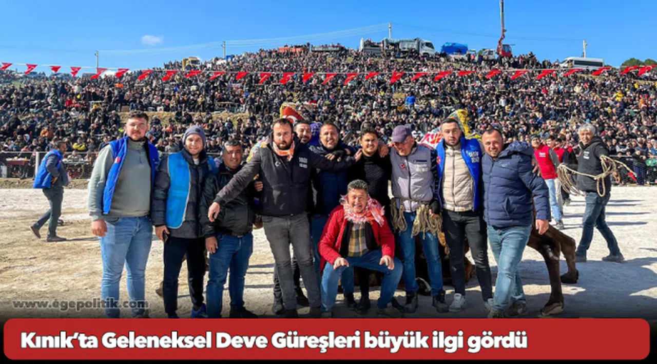 Kınık’ta Geleneksel Deve Güreşleri büyük ilgi gördü