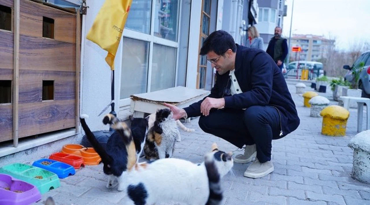 Kırkpınar'dan Bayraklılara Doğal Yaşam Parkı müjdesi