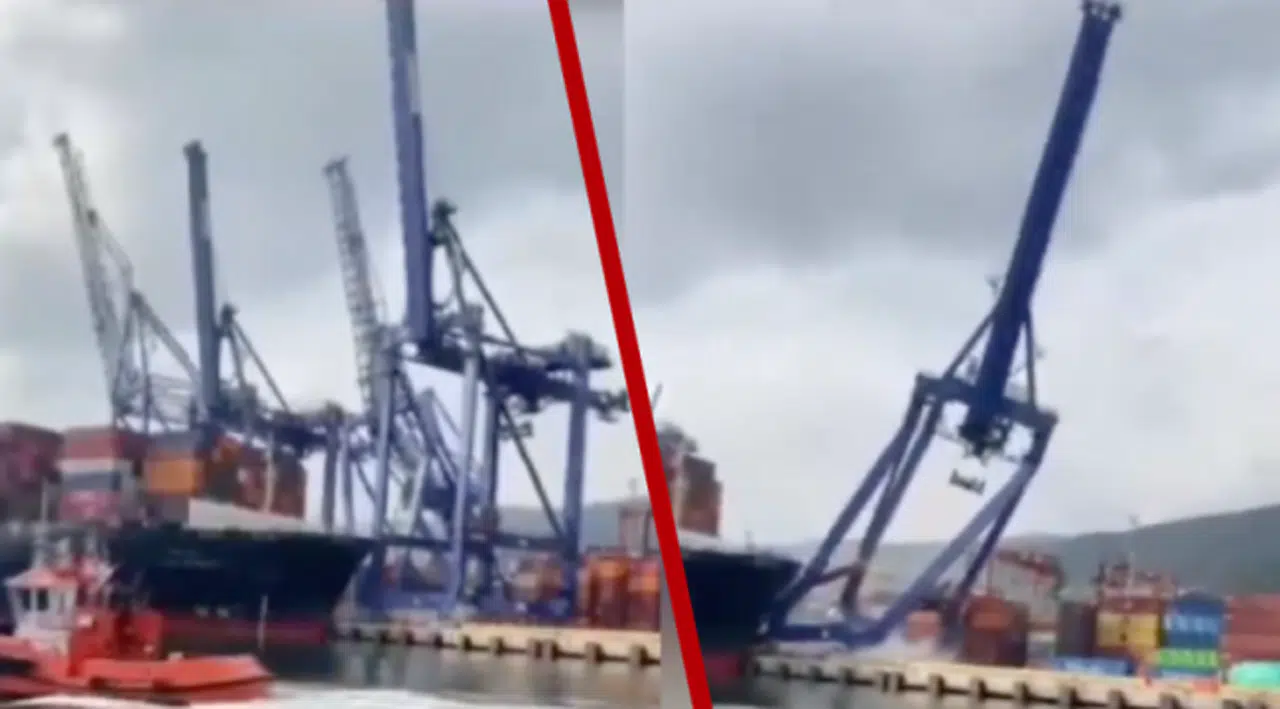 Kocaeli'de gemi kazası: Limana çarptı, vinçler devrildi