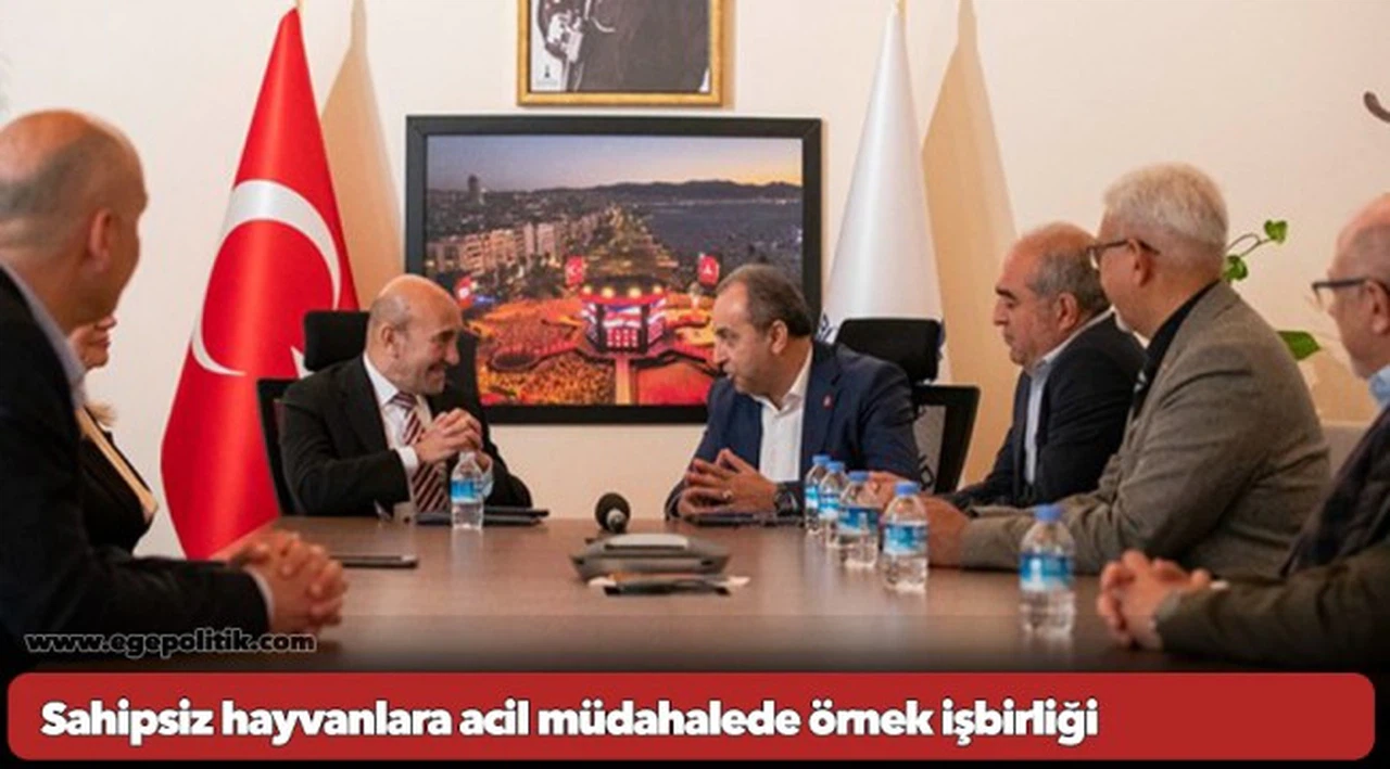 Sahipsiz hayvanlara acil müdahalede örnek işbirliği