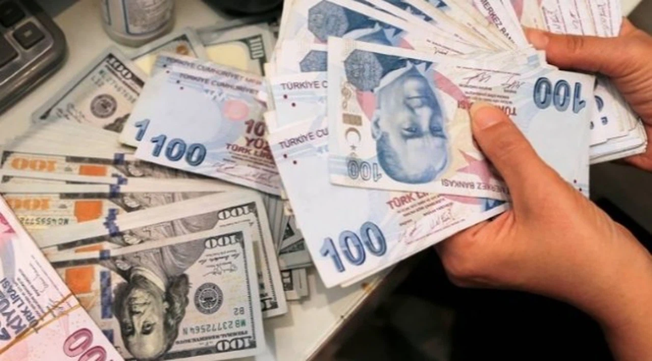 Merkez Bankası'ndan tarihi döviz alımı