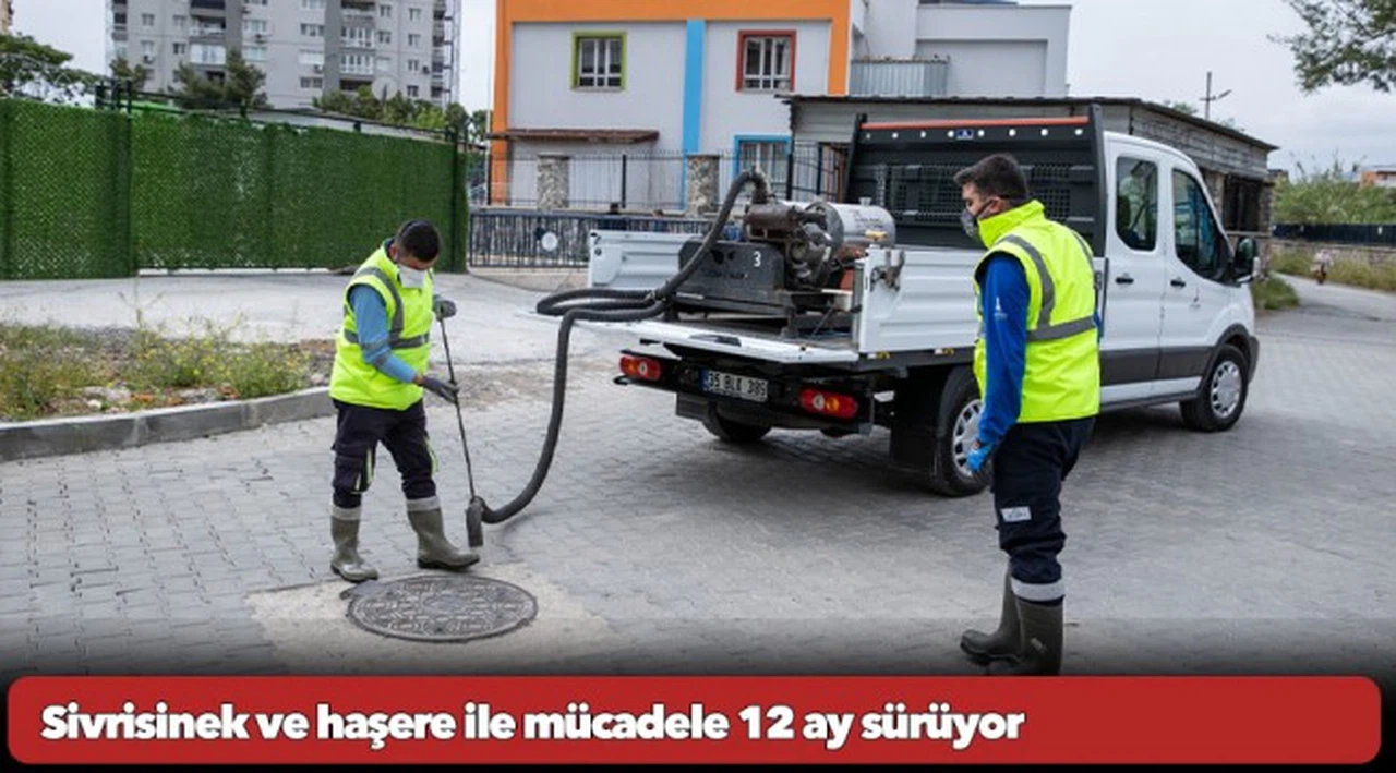 Sivrisinek ve haşere ile mücadele 12 ay sürüyor