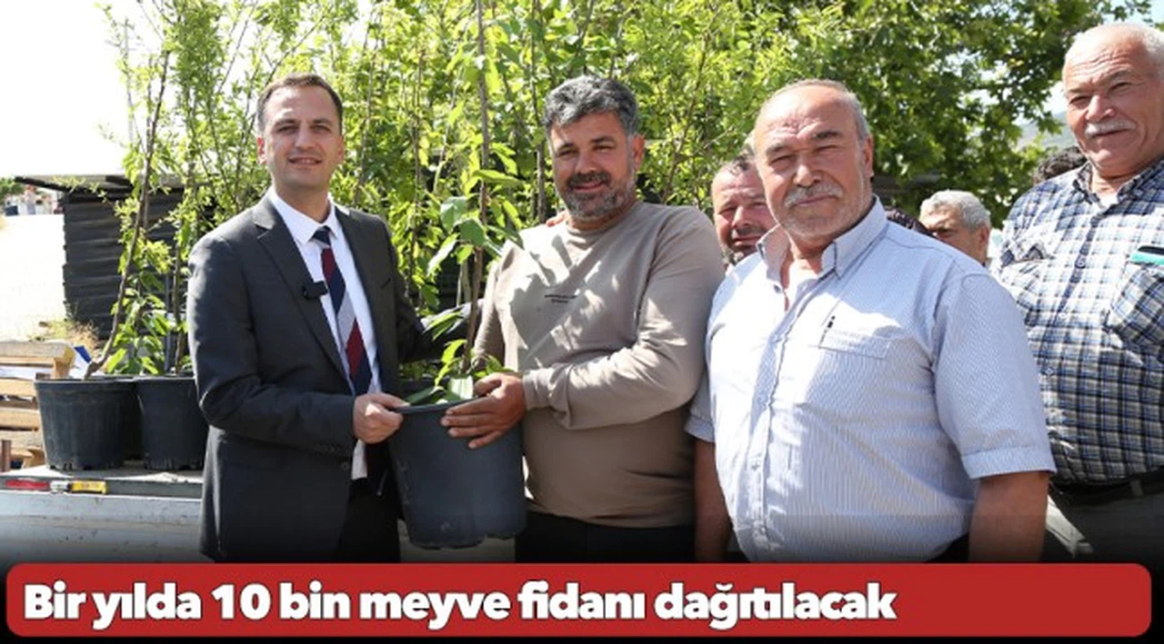 Bir yılda 10 bin meyve fidanı dağıtılacak