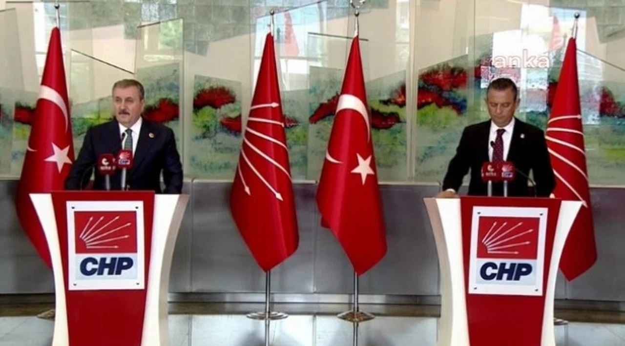 Destici: "Sokak köpeklerinin uyutulması teklifini destekliyoruz"