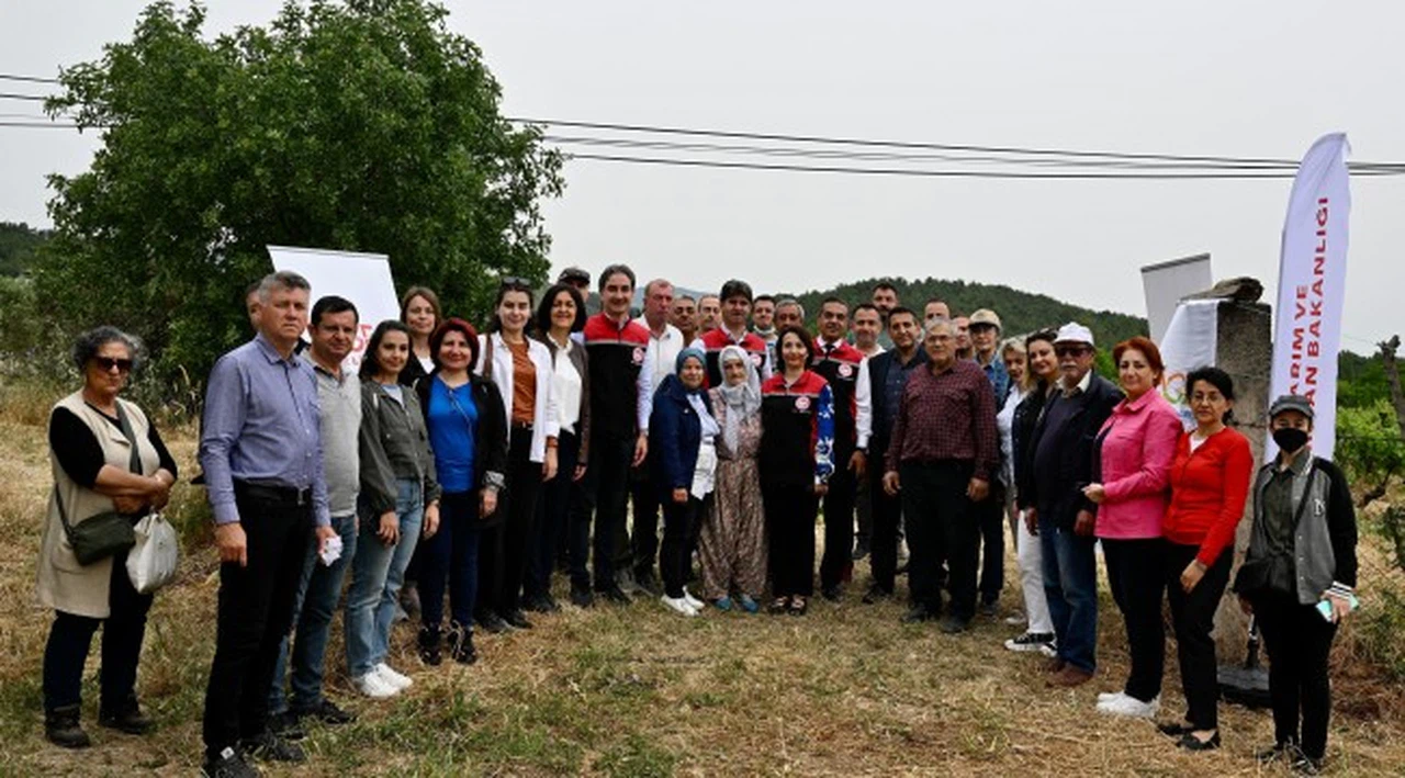 İzmir'de kahverengi kokarcaya biyolojik savaş açıldı
