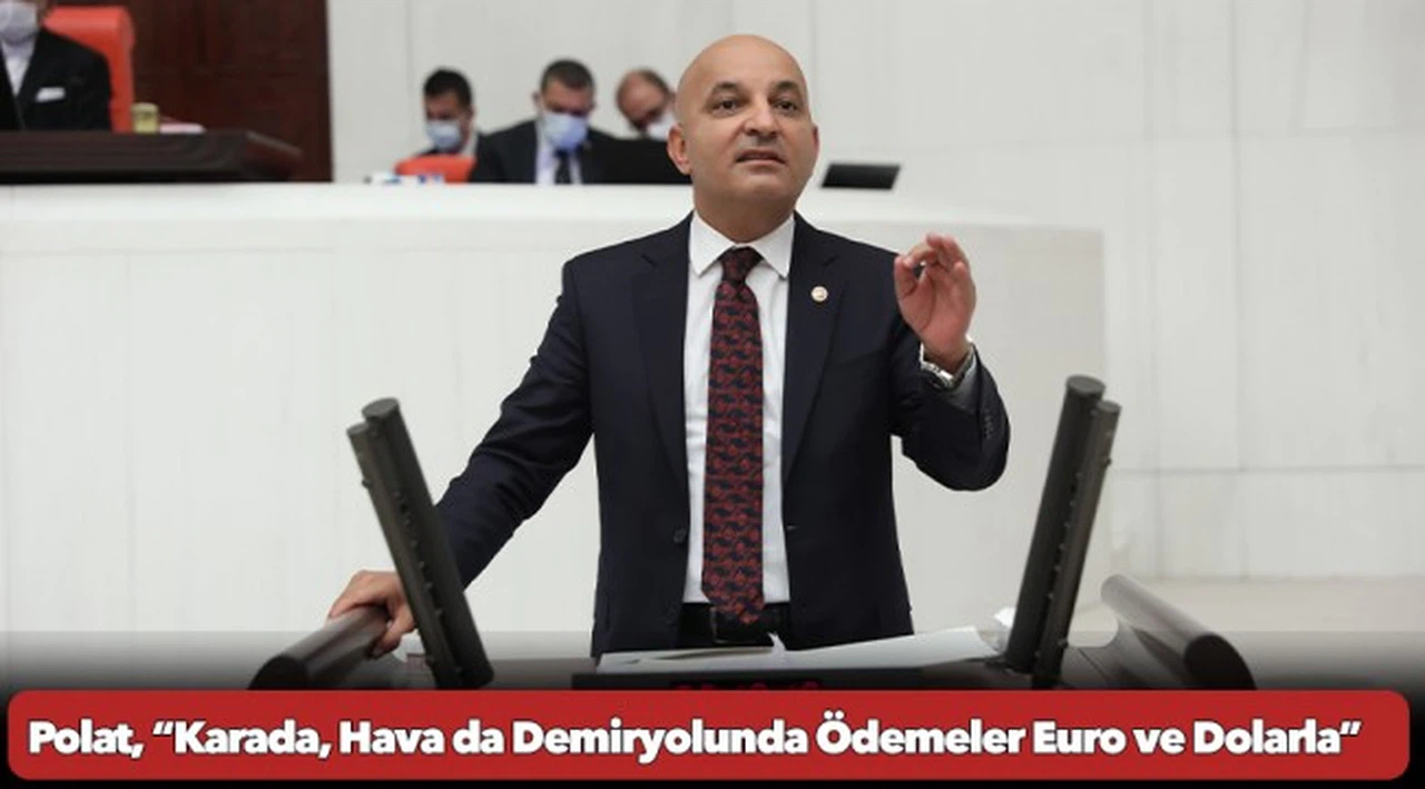 Polat, “Karada, Hava da Demiryolunda Ödemeler Euro ve Dolarla”