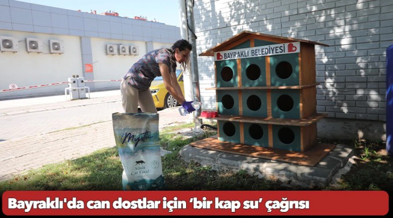 Bayraklı'da can dostlar için ‘bir kap su’ çağrısı