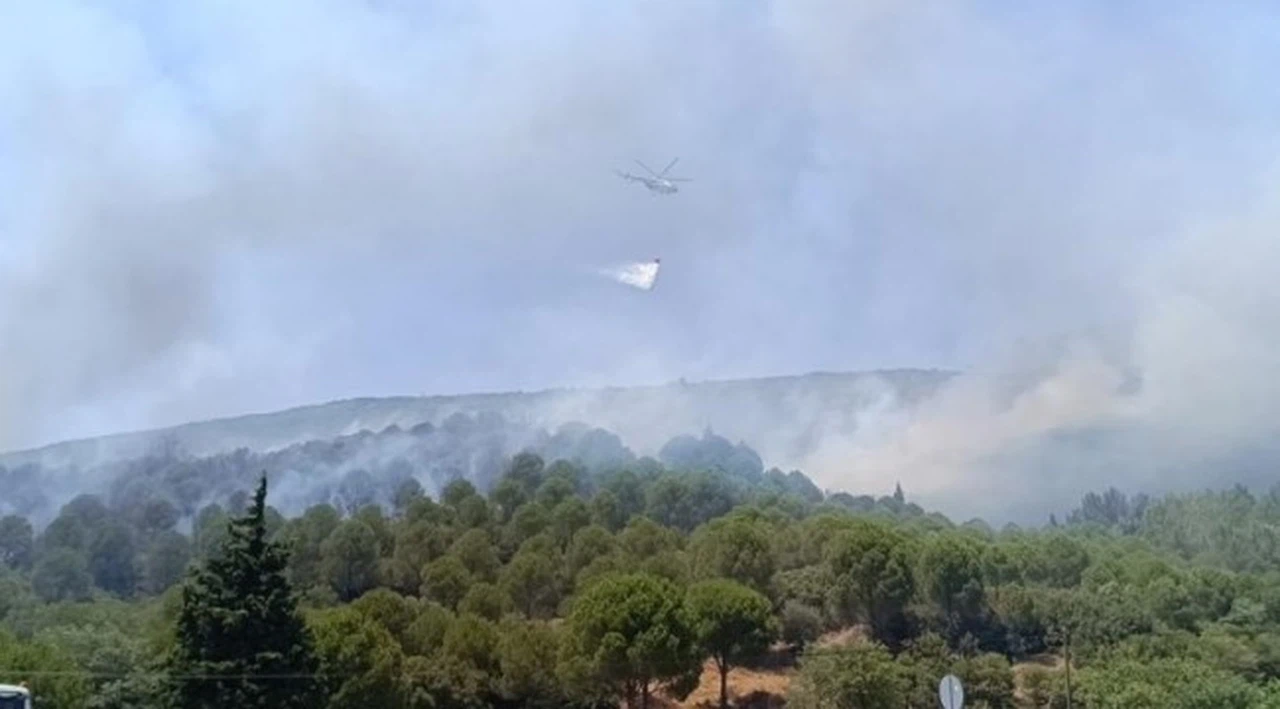 Bornova'da orman yangını!