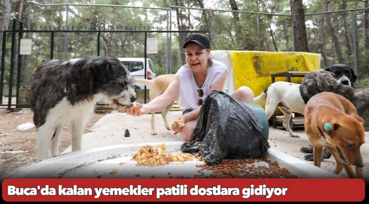 Buca'da kalan yemekler patili dostlara gidiyor