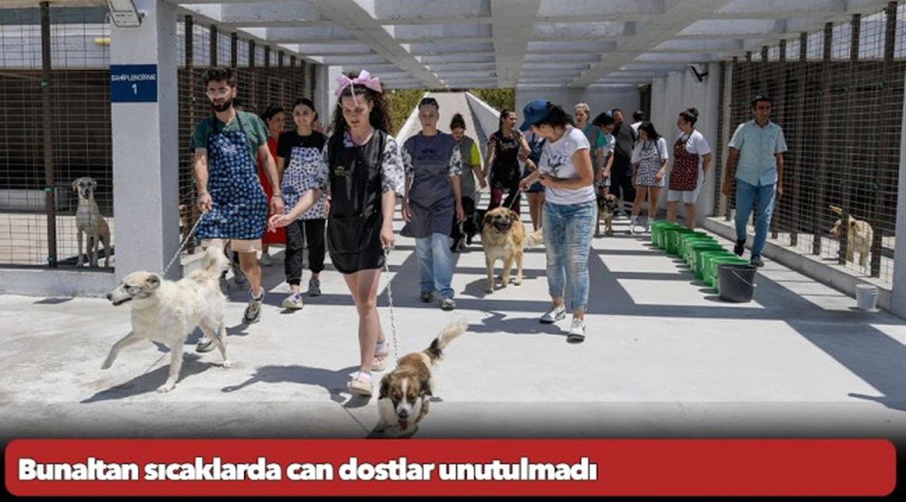 Bunaltan sıcaklarda can dostlar unutulmadı