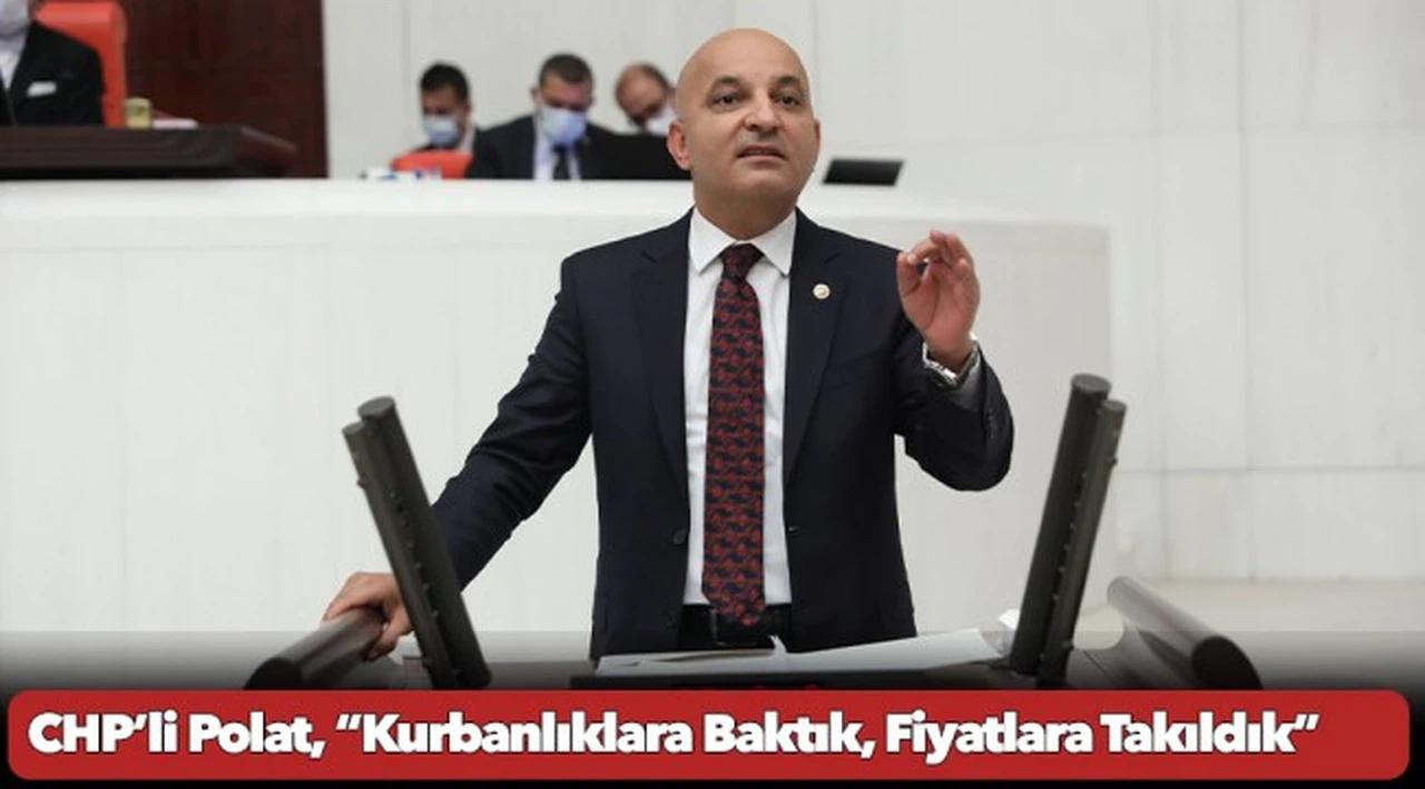 CHP’li Polat, “Kurbanlıklara Baktık, Fiyatlara Takıldık”