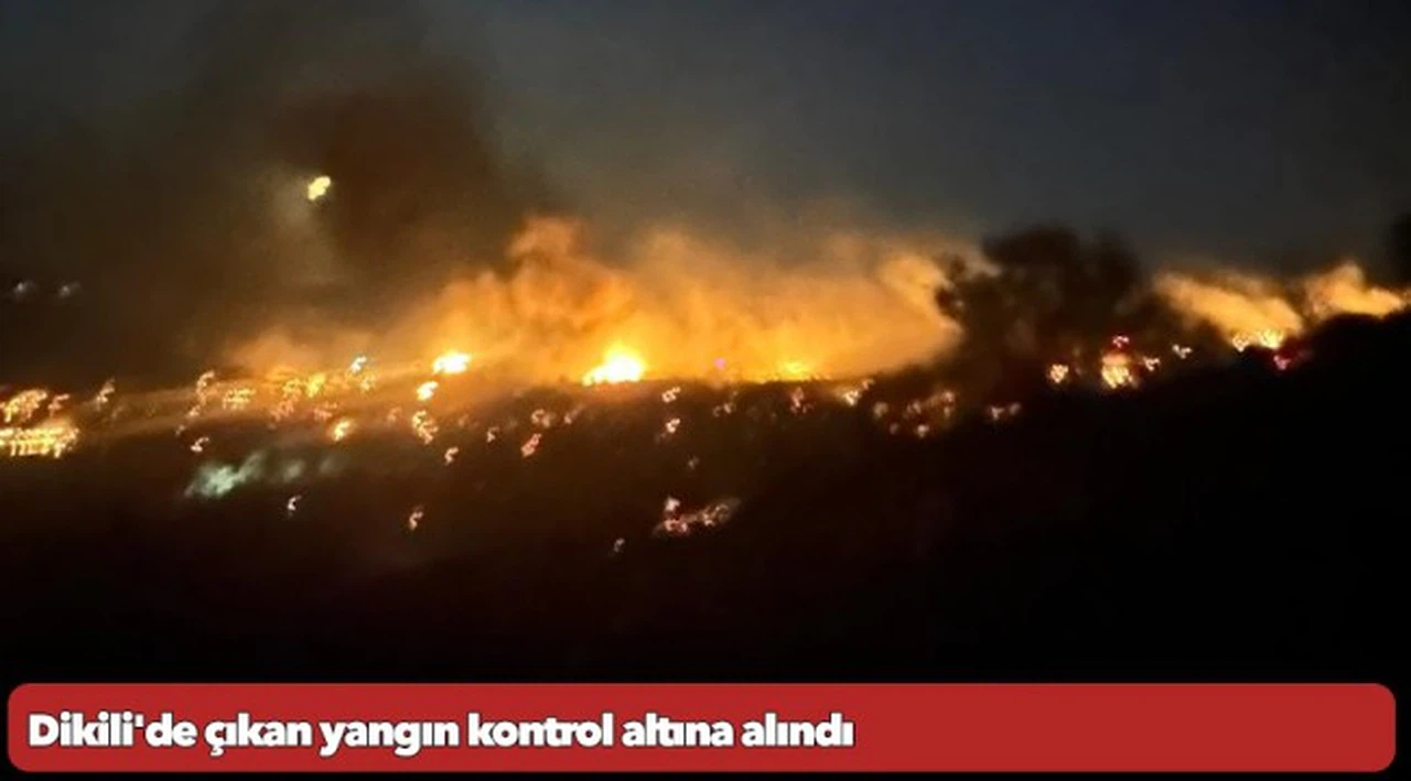 Dikili'de çıkan yangın kontrol altına alındı
