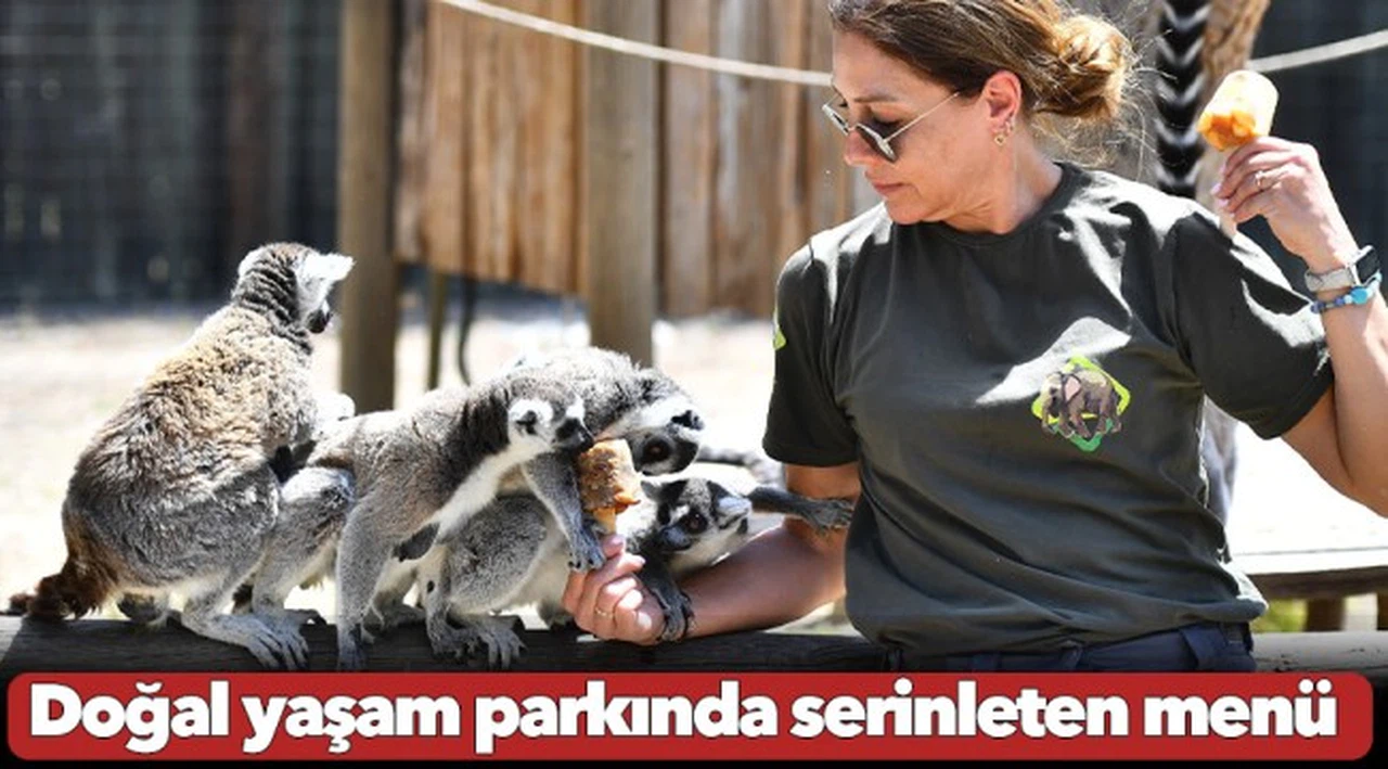 Doğal Yaşam Parkı sakinlerini serinleten menü