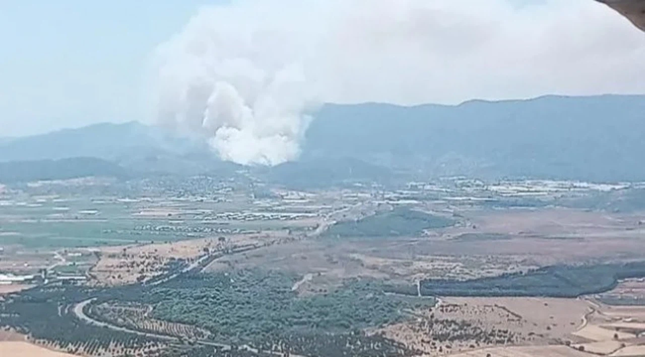 Çeşme'deki yangınla ilgili gözaltı sayısı 5'e çıktı
