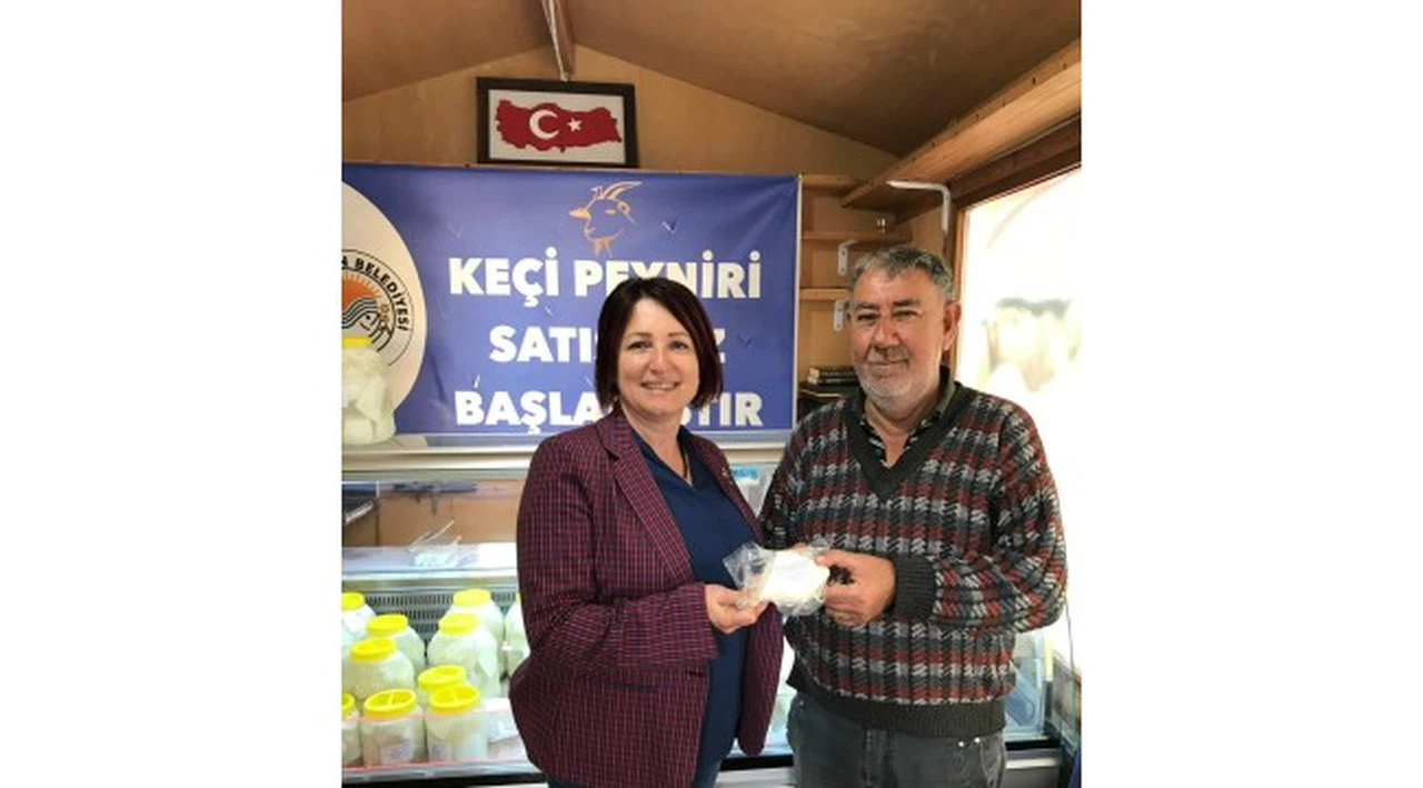 Karaburun kopanisti peyniri Tesciliyle, kara keçiler kazandı!
