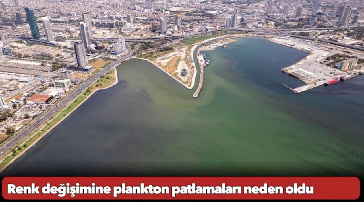 Renk değişimine plankton patlamaları neden oldu