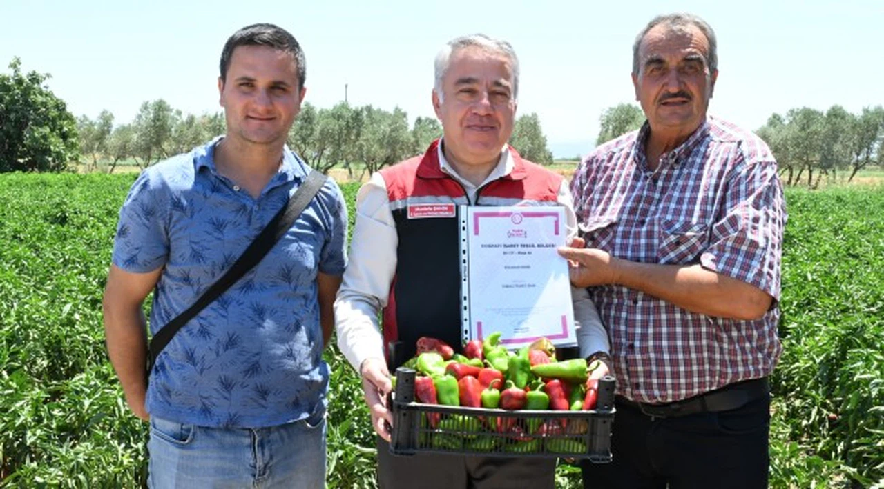 120 Yıllık Lezzet Arslanlar Biberi: Coğrafi Tescilli Ürüne Büyük İlgi