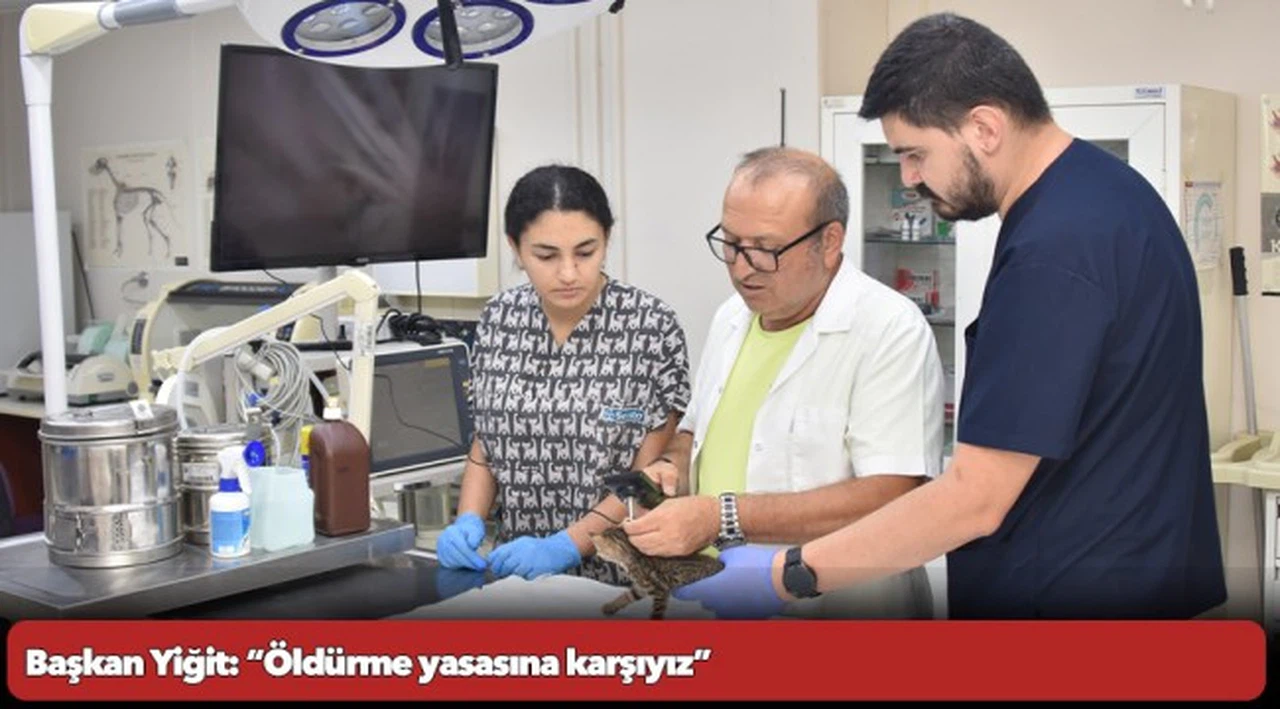 Başkan Yiğit: “Öldürme yasasına karşıyız”