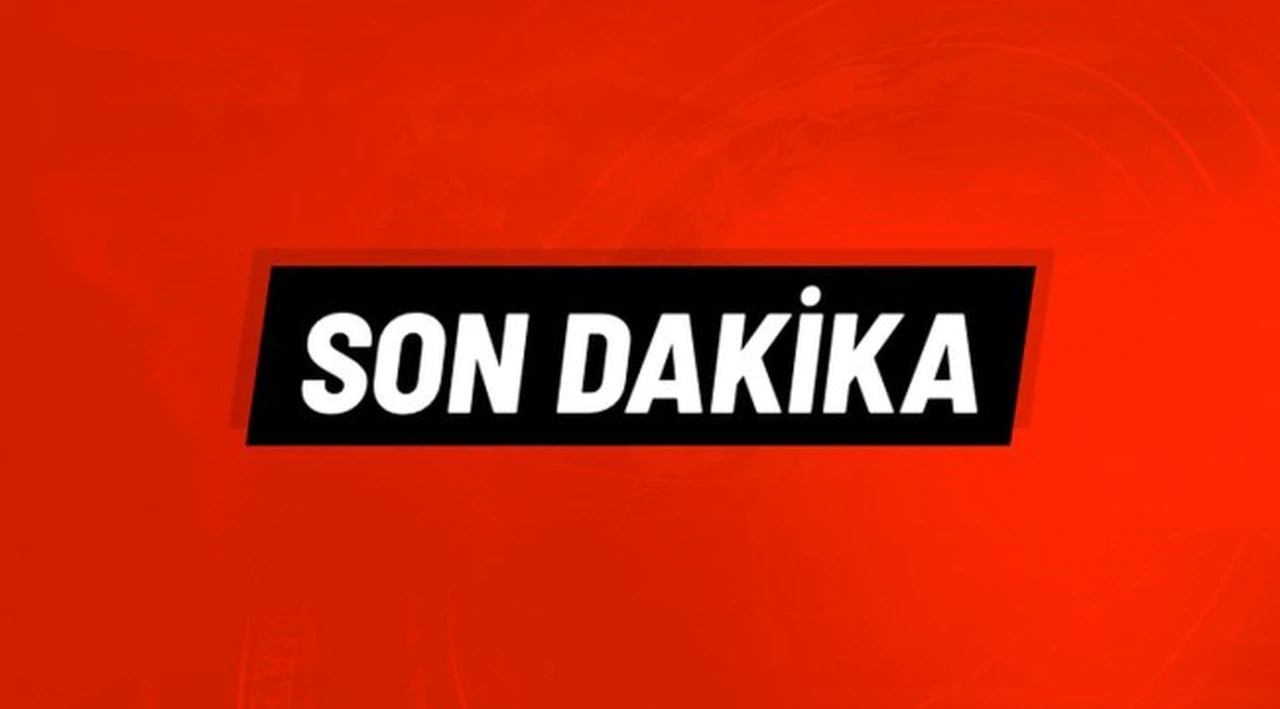Bergama'da ormanlık alanda yangın!