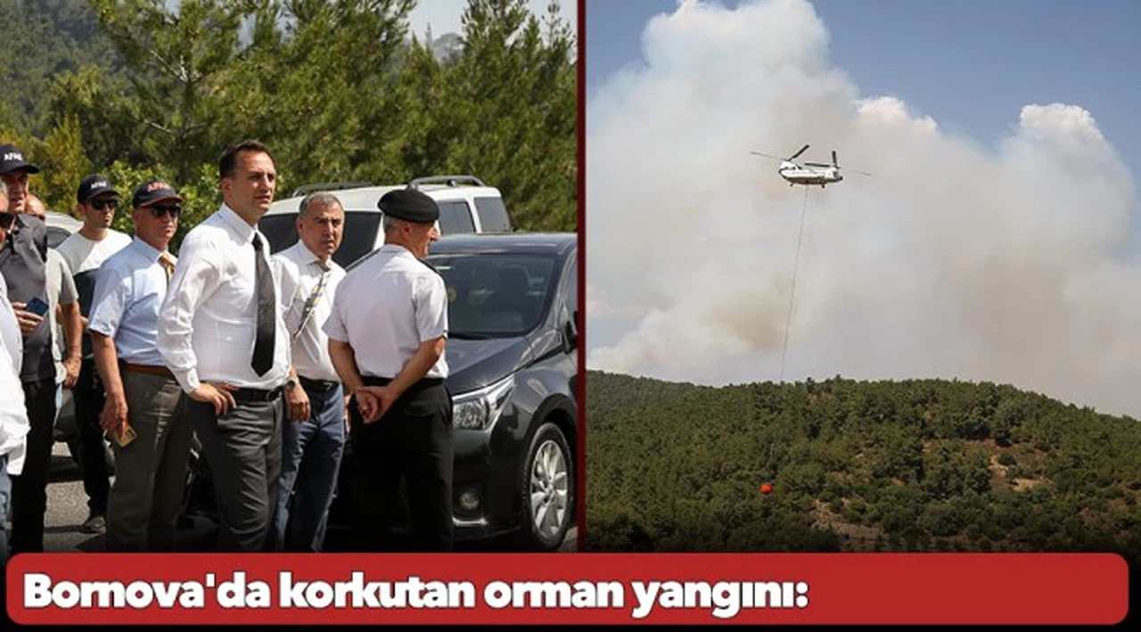 Bornova'da korkutan orman yangını: