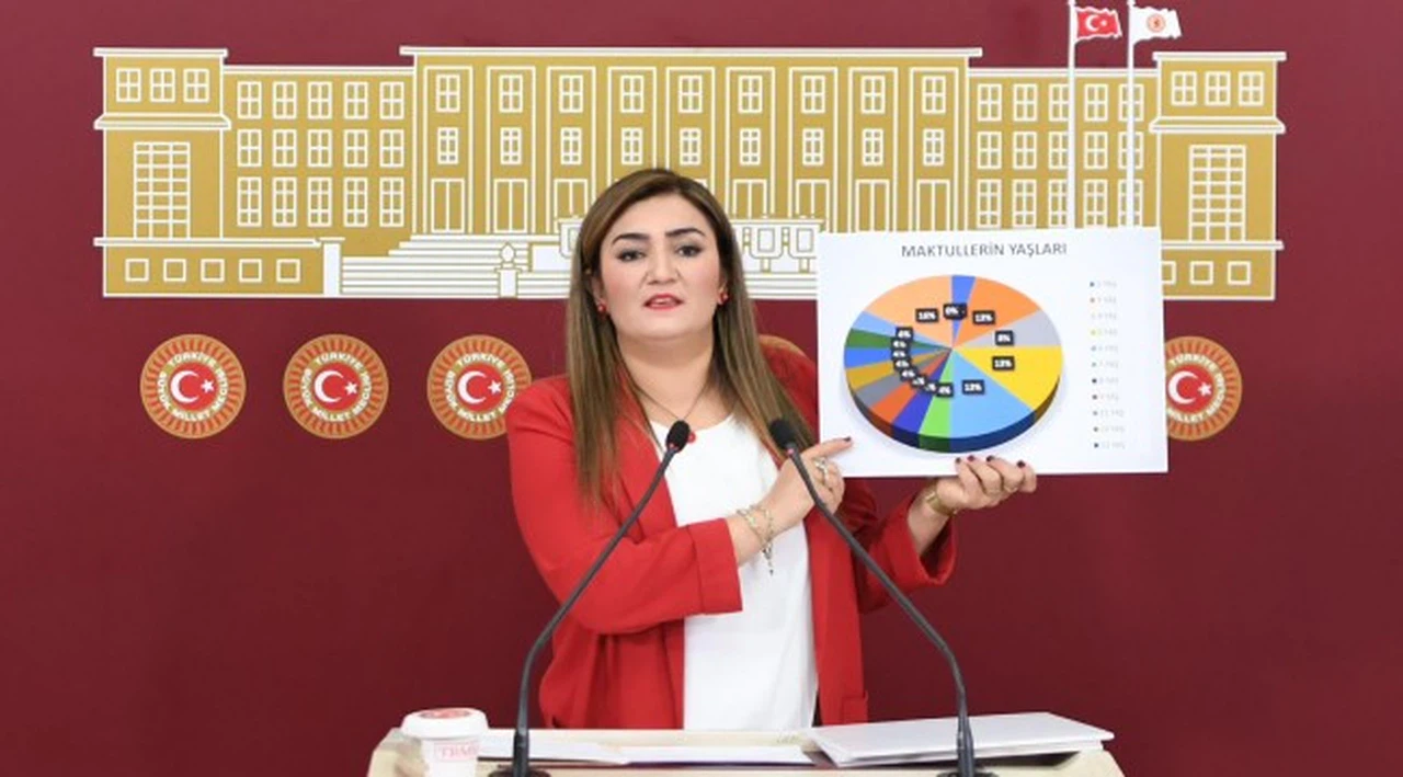 CHP İzmir Milletvekili Sevda Erdan Kılıç'tan aile katliamları raporu