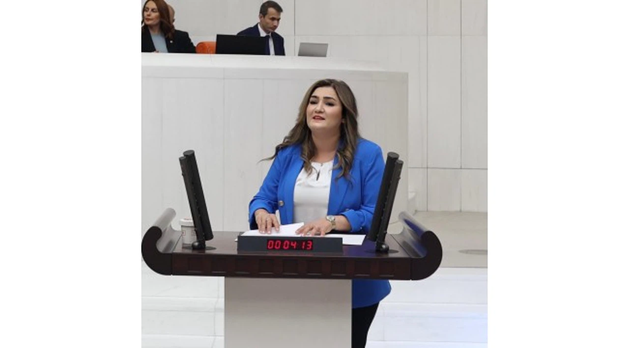 CHP İzmir Milletvekili Sevda Erdan Kılıç'tan kurultay kararı