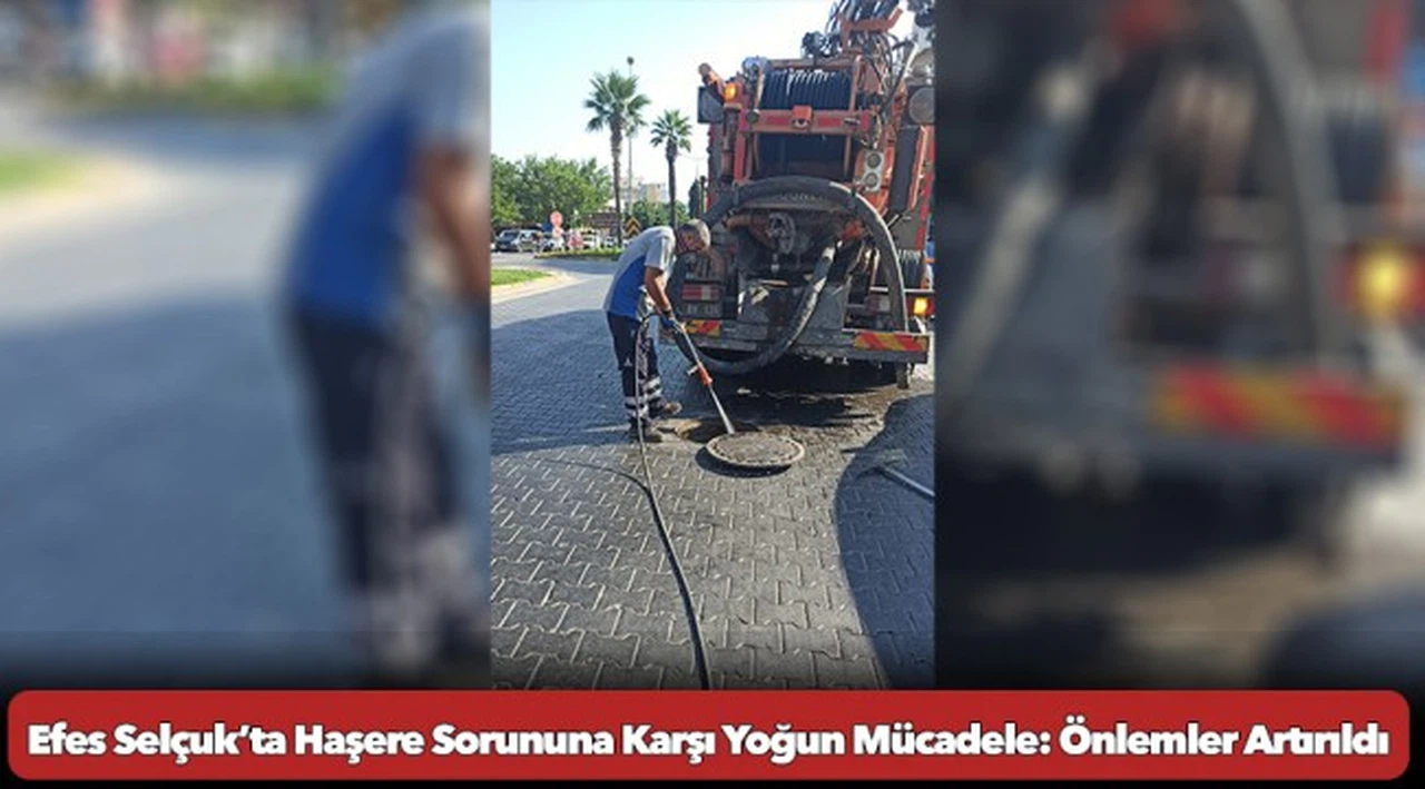 Efes Selçuk’ta Haşere Sorununa Karşı Yoğun Mücadele: Önlemler Artırıldı