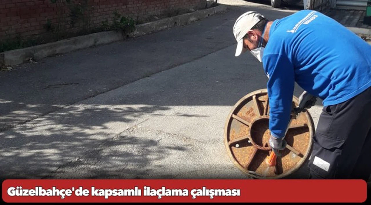 Güzelbahçe'de kapsamlı ilaçlama çalışması