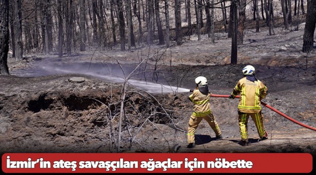 İzmir’in ateş savaşçıları ağaçlar için nöbette