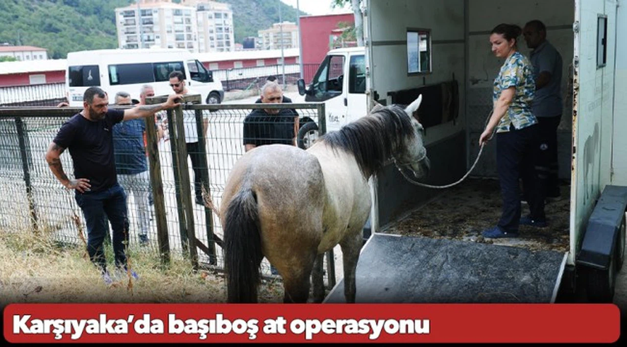 Karşıyaka’da başıboş at operasyonu