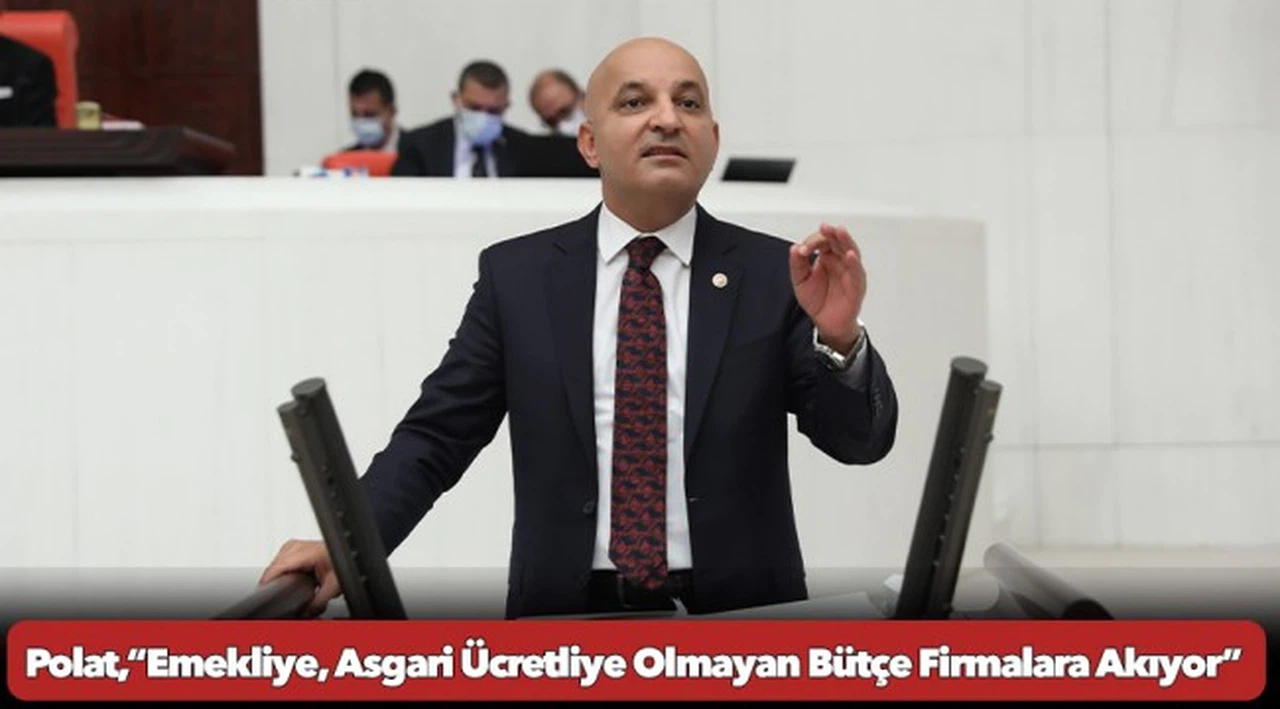 Polat,“Emekliye, Asgari Ücretliye Olmayan Bütçe Firmalara Akıyor”