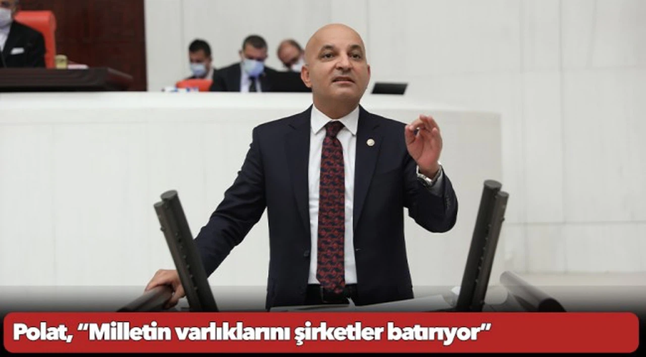 Polat, “Milletin varlıklarını şirketler batırıyor”